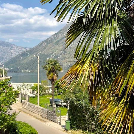 Apartments Asya Kotor Extérieur photo