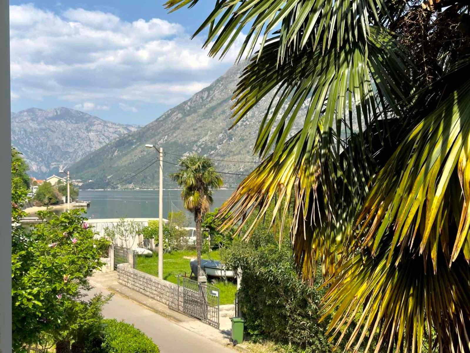 Apartments Asya Kotor Extérieur photo